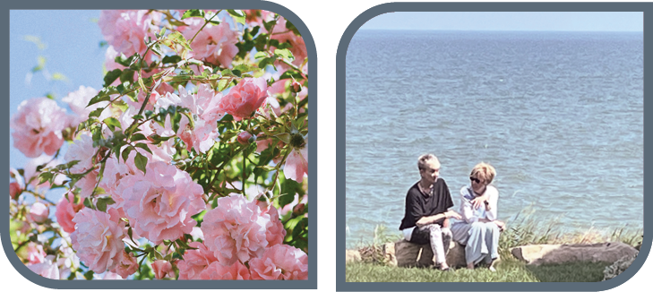 Pink roses and Women seated by the lake